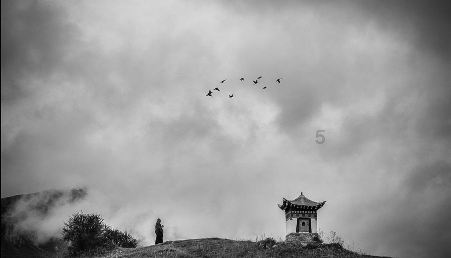 邵东市设立“乡贤日”